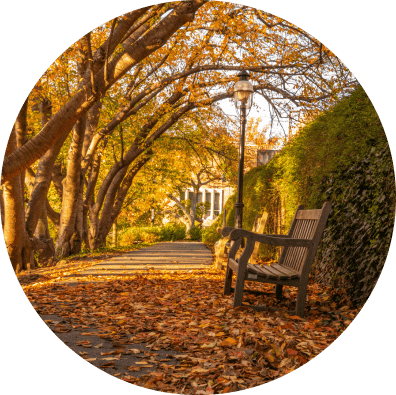 Fintegrity Investment Adviser
